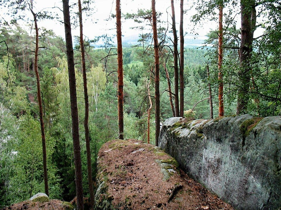 Apolena — zdjęcie 3