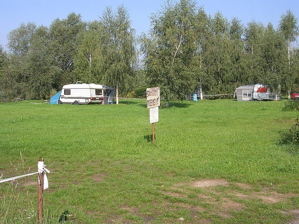 Malý písečák — photo 3