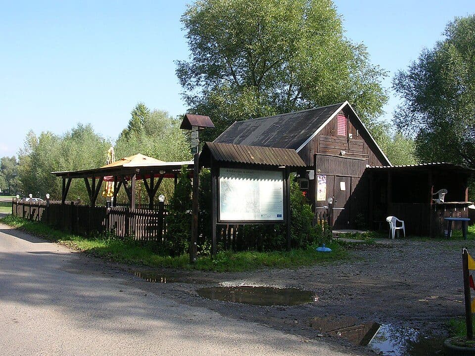 Malý písečák — photo 2
