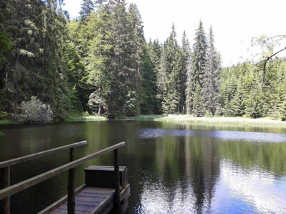 [M] Bučina - Horní Vltavice