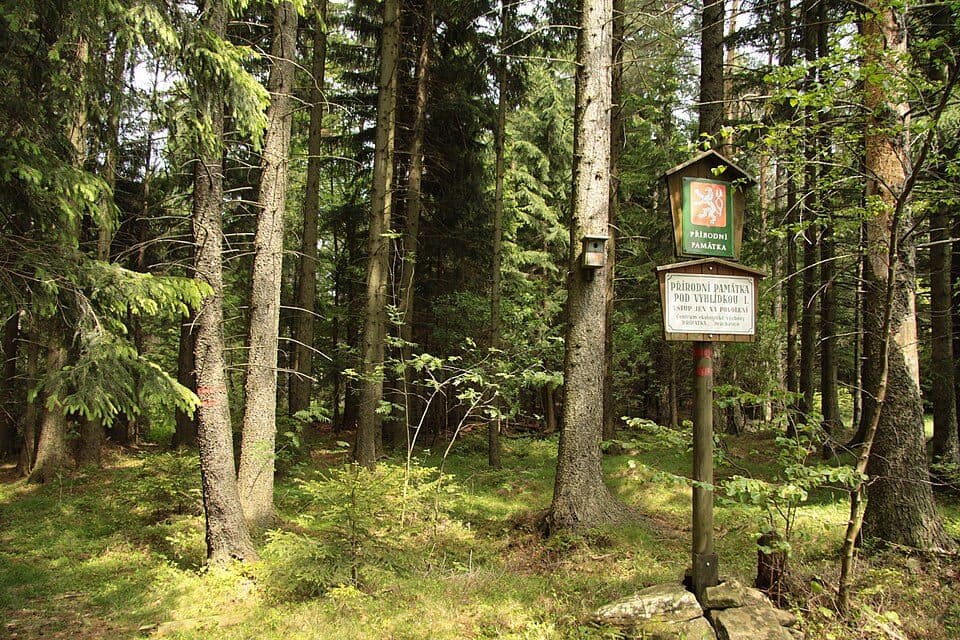 Pod Vyhlídkou
