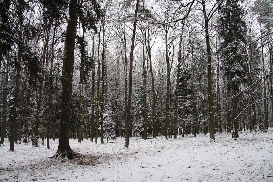 Míchov — fotografie 3