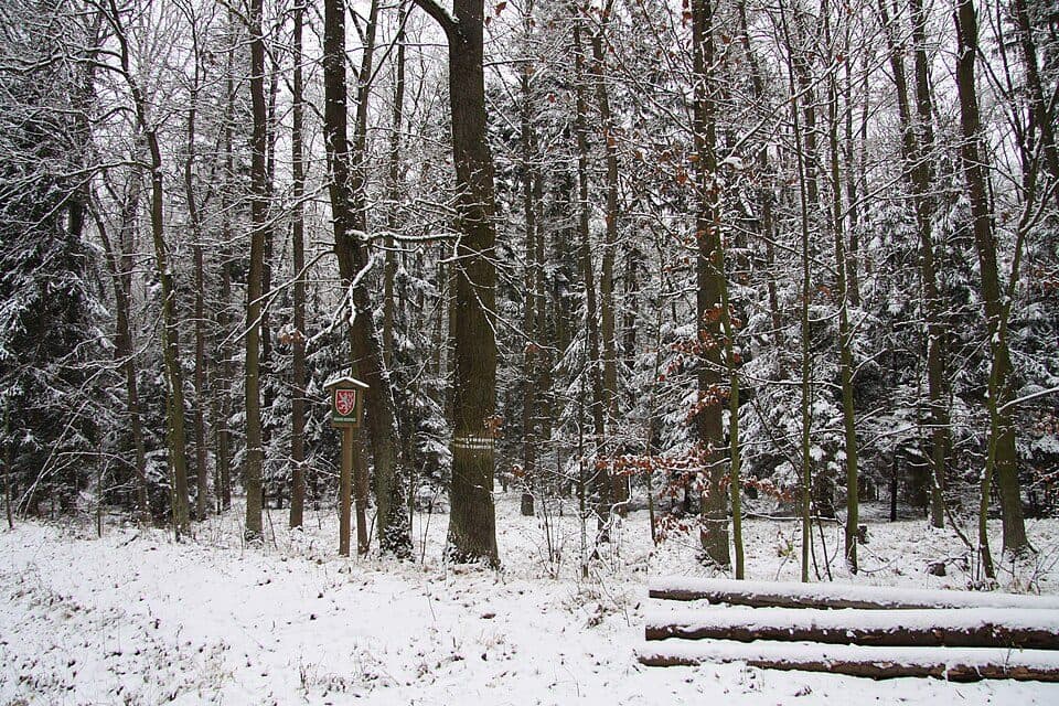 Míchov