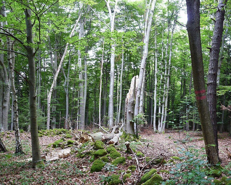 Polučí