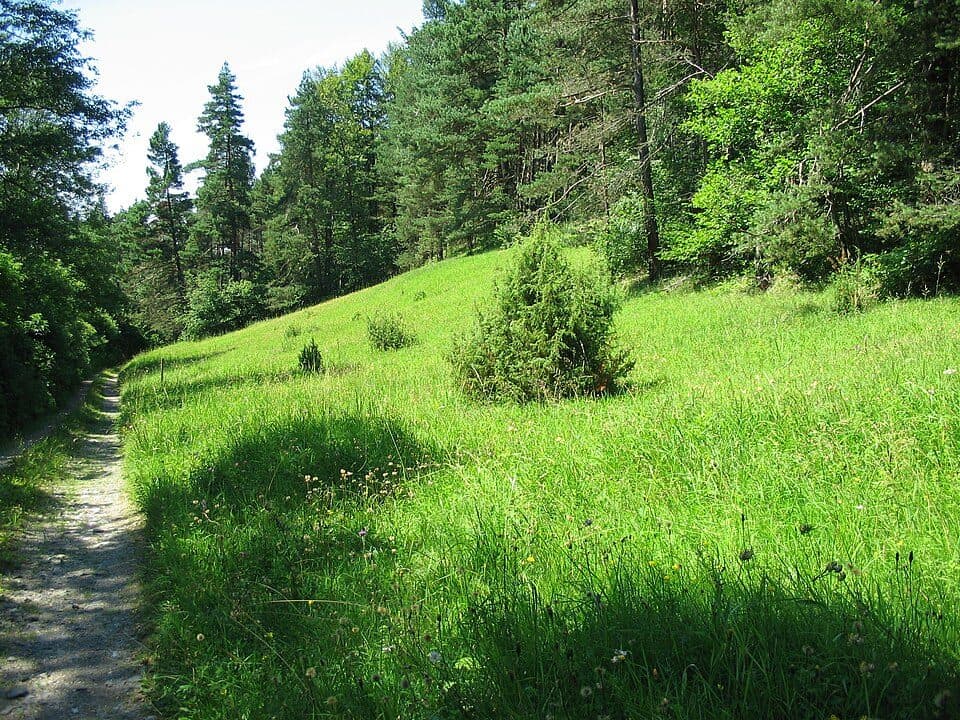 Milčice