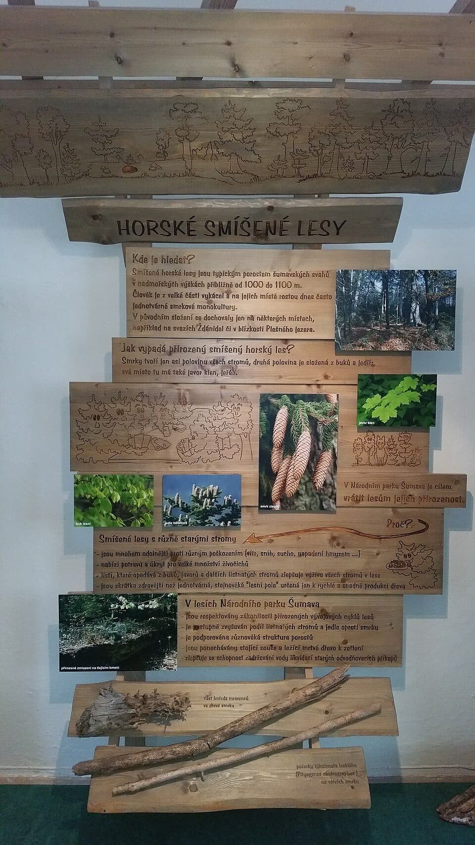 Kuna lesní - Úhel pohledu bez hranic