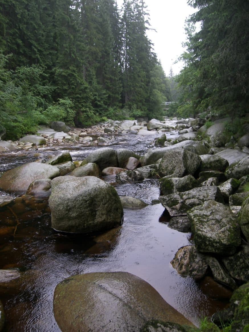 Park Narodowy Szumawa — zdjęcie 2