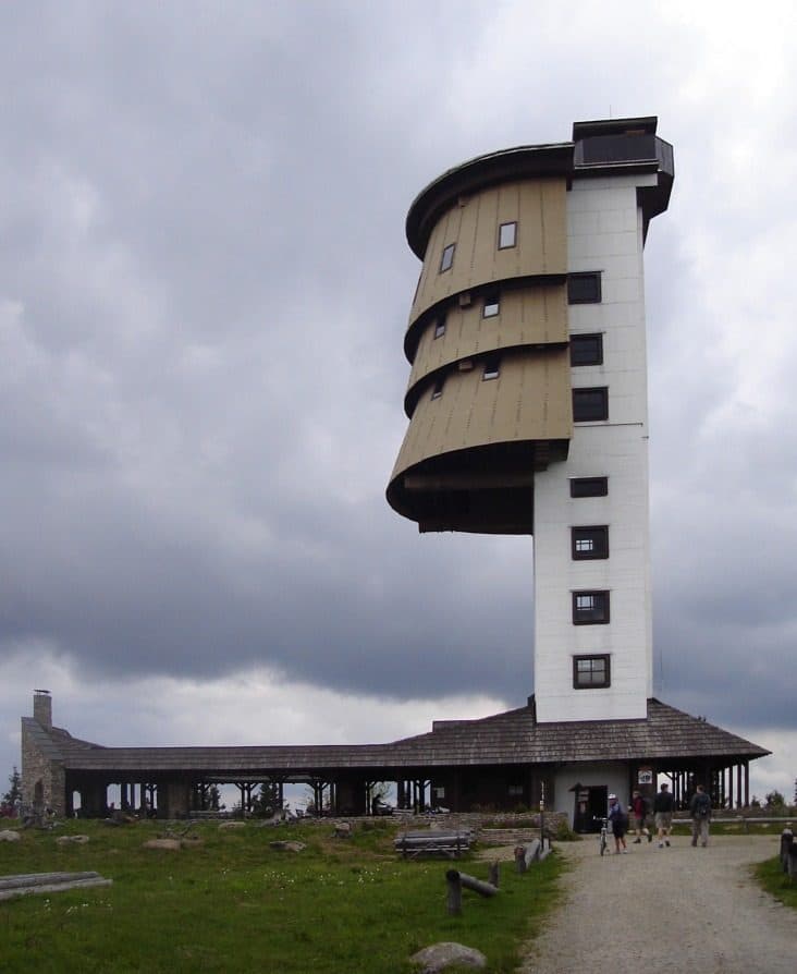 Chřástal polní