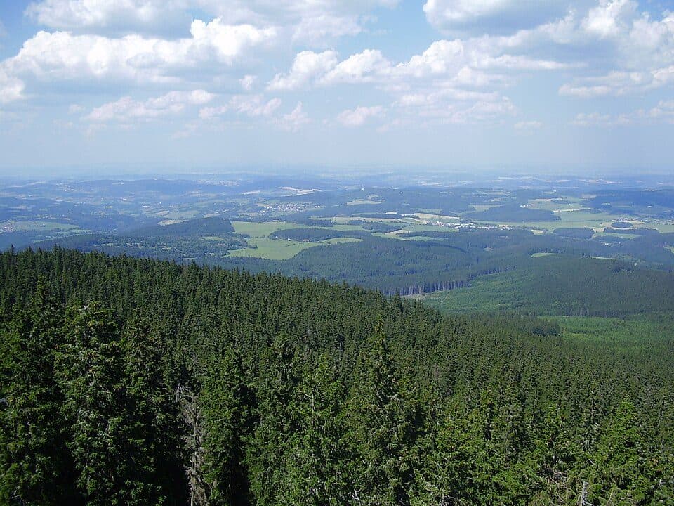Rezerwat Przyrody Boubínský prales — zdjęcie 2