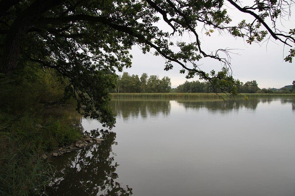 NS Řežabinec
