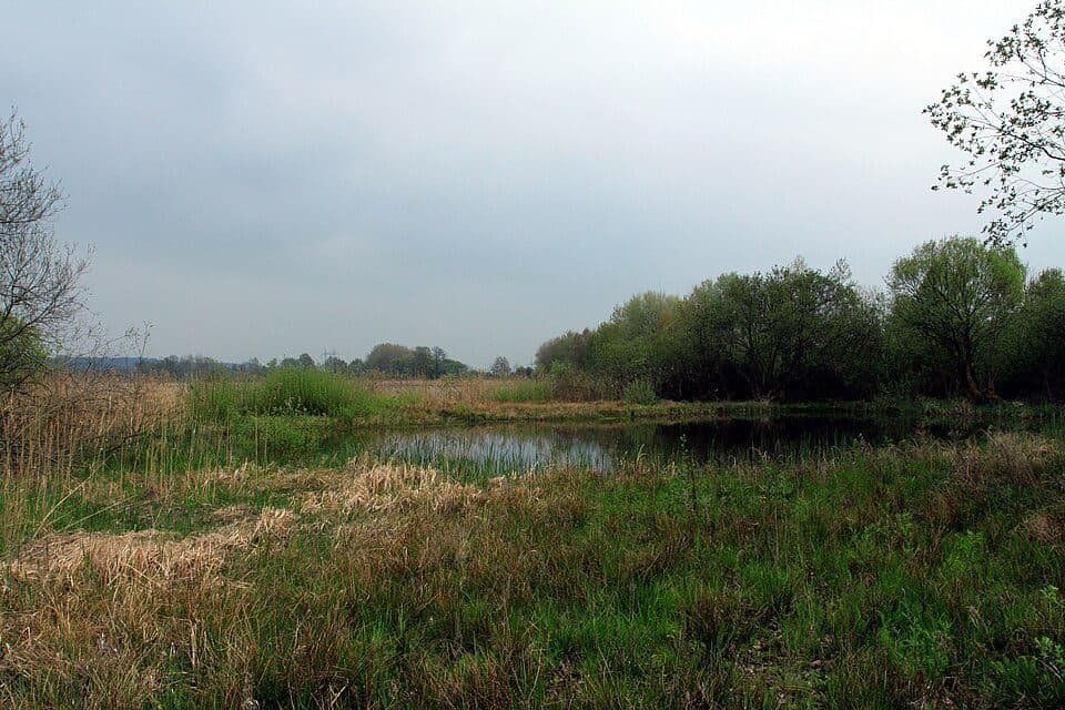 NS Řežabinec