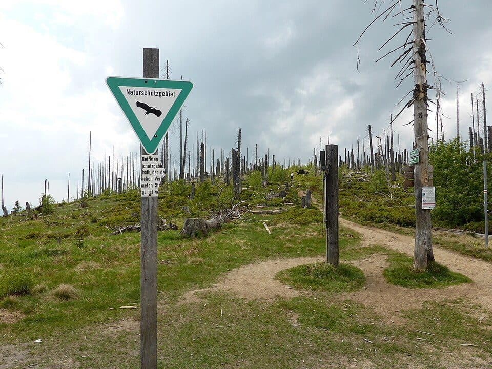 Hochwald
