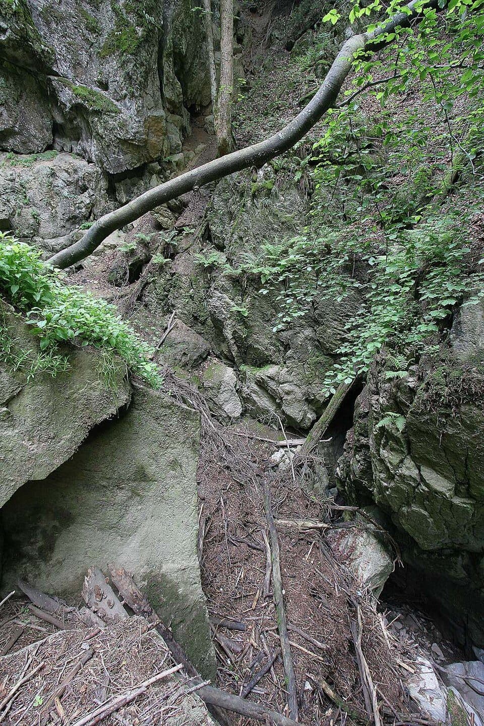 Nová Rasovna — zdjęcie 2