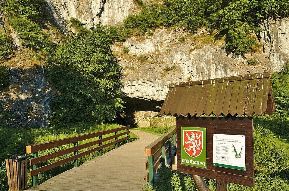 Jaskinie Sloupsko-šošůvské — zdjęcie 2
