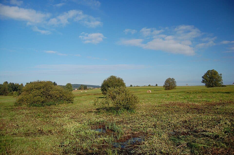 Uhliska