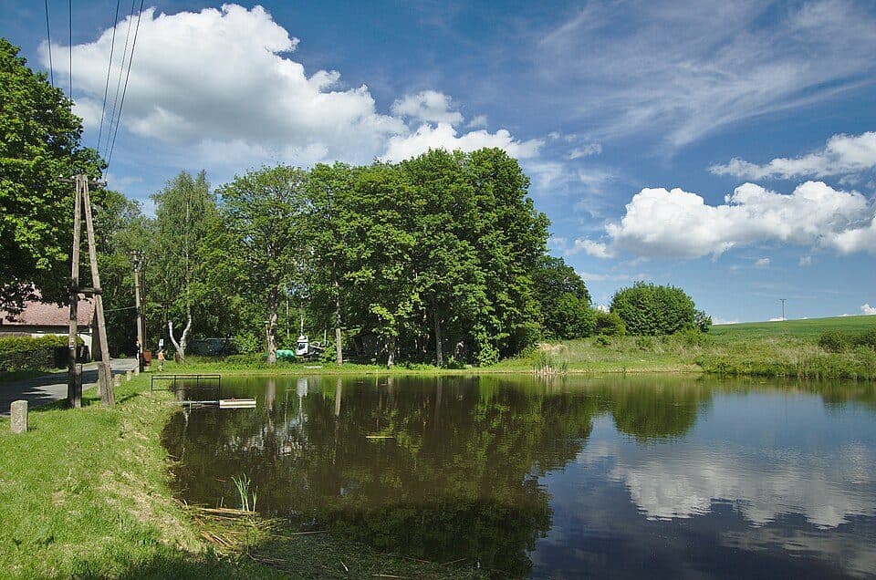 Přírodní park Řehořkovo Kořenecko — Foto 3