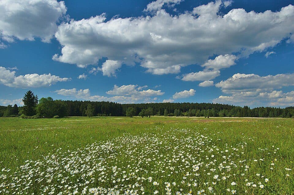 Přírodní park Řehořkovo Kořenecko