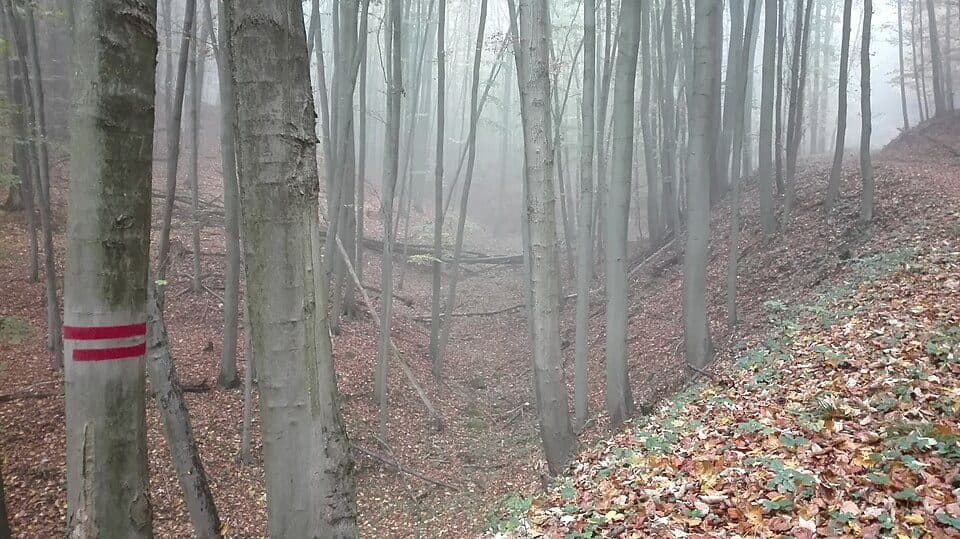 odbočka k památníku Karla Knappa