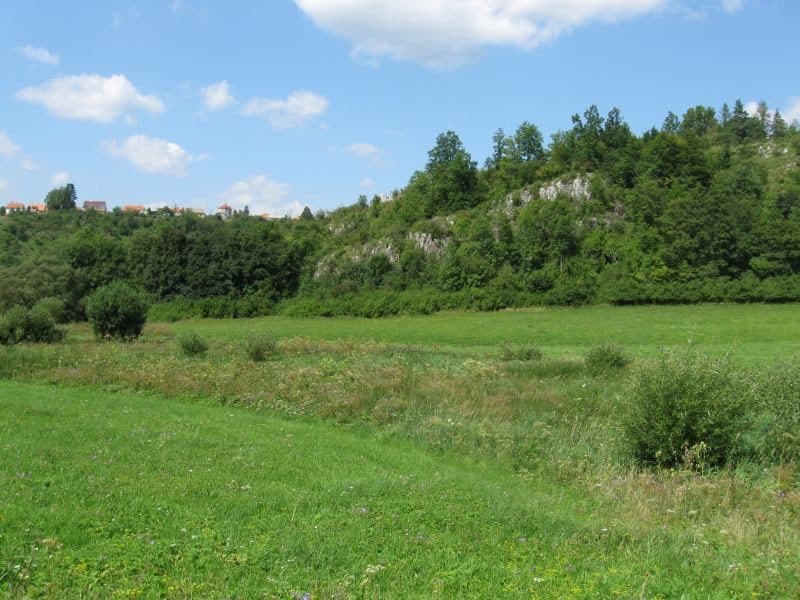 přírodní rezervace Balcarova skála – Vintoky