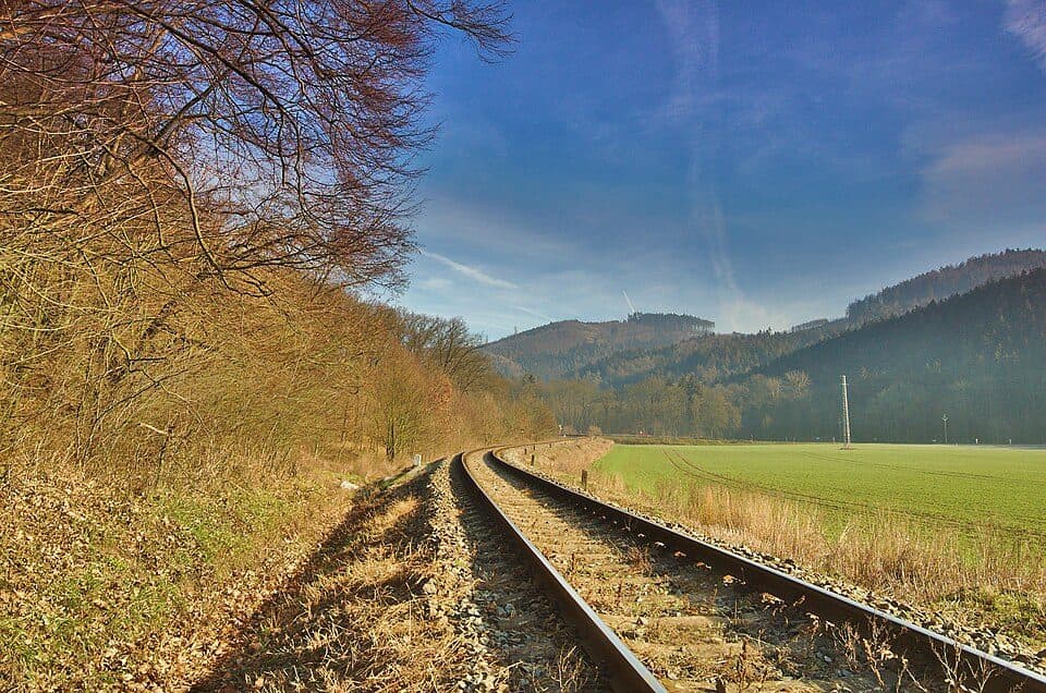 přírodní památka Lebeďák — Foto 3
