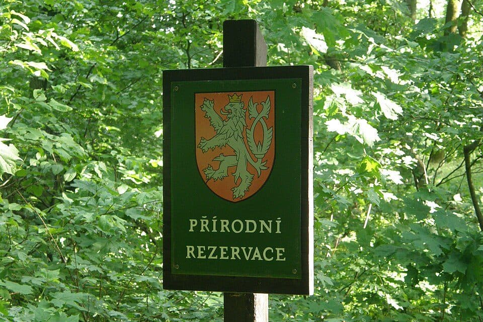 Dřínová
