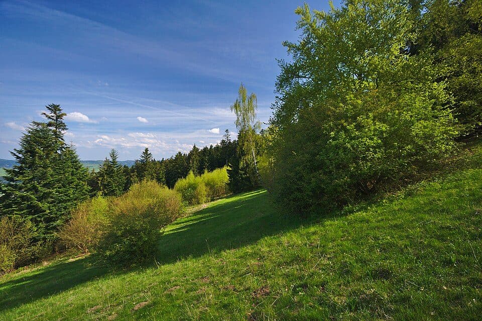[Z] Valašské Klobouky - Valašské příkazy