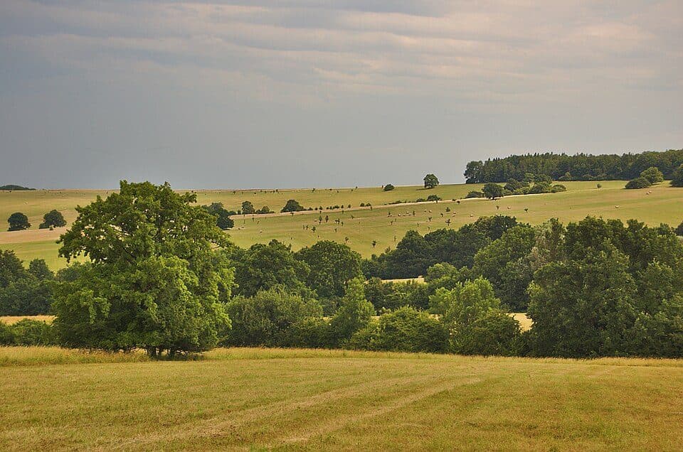 národní přírodní rezervace Čertoryje — photo 3