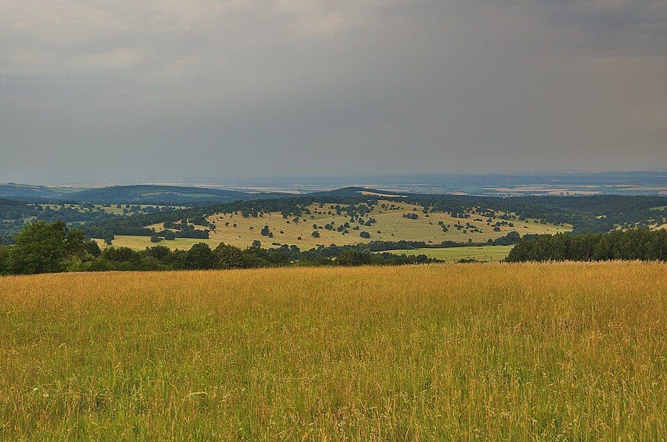 národní přírodní rezervace Čertoryje — photo 2