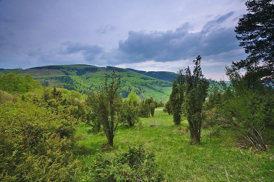 [Ž] Popov (žst.) - Pod Okršliskom (CZ/SK)