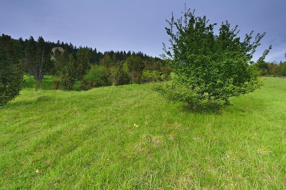 [Ž] Popov (žst.) - Pod Okršliskom (CZ/SK)
