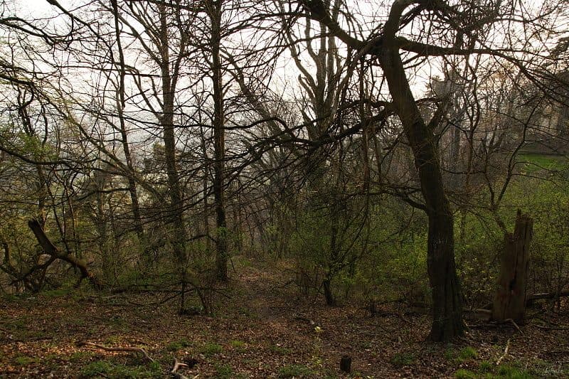 [Č] Bučovice - Buchlov