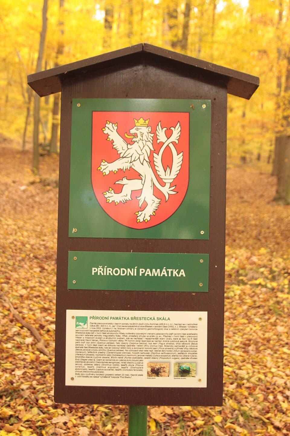 [Ž] Na Pile - Buchlov