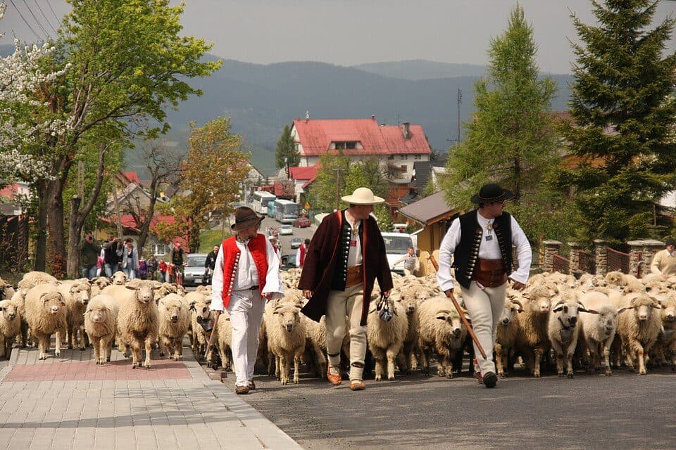 Wisła Głębce PKP - Rupienka