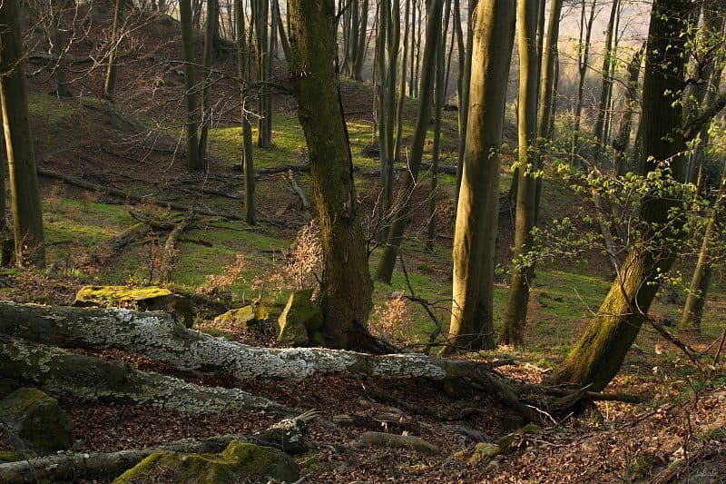 [Z] Bohuslavice u Kyjova - Koryčany