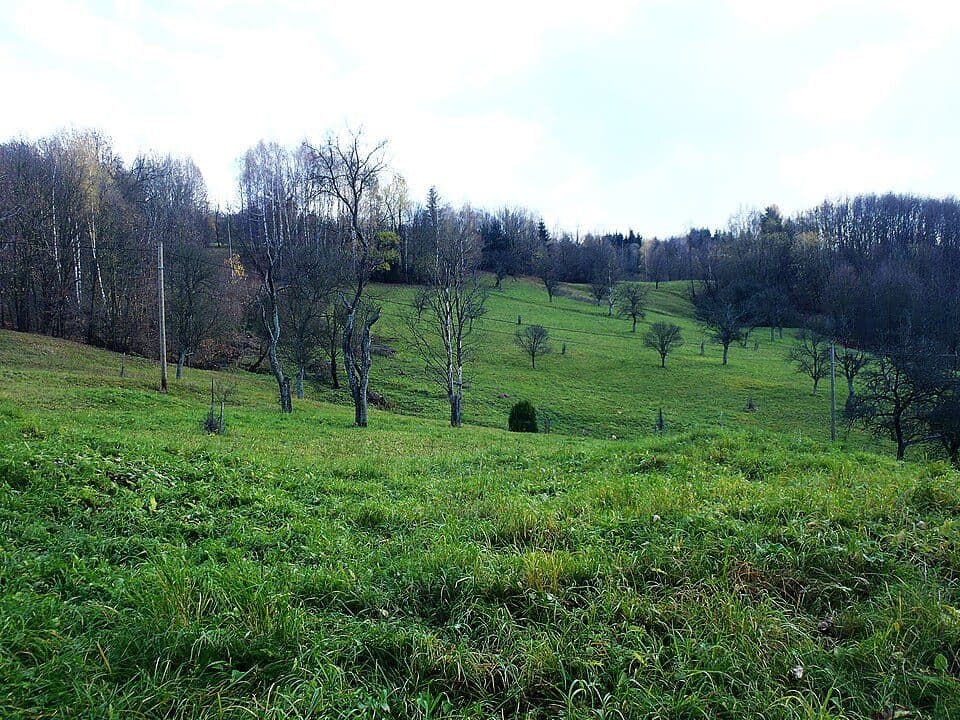Sedlo Machnáč - Vlčí vrch