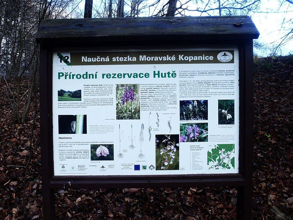 NS Moravské kopanice