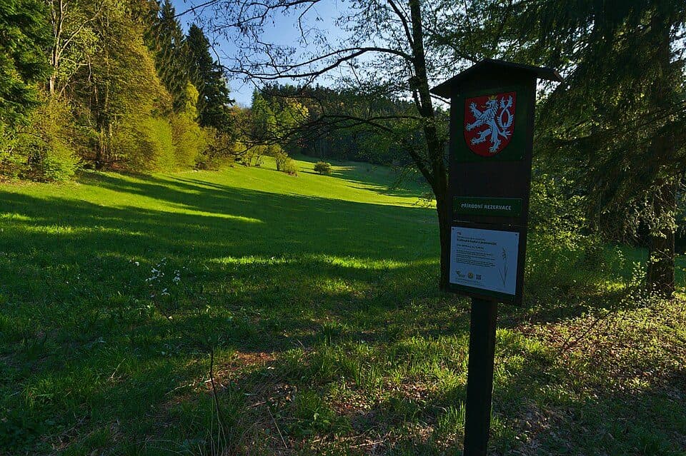 NS Hugolína Gavloviče