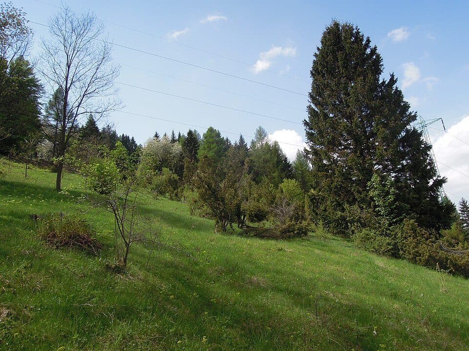 [M] Lidečko - Pod Sveradovem