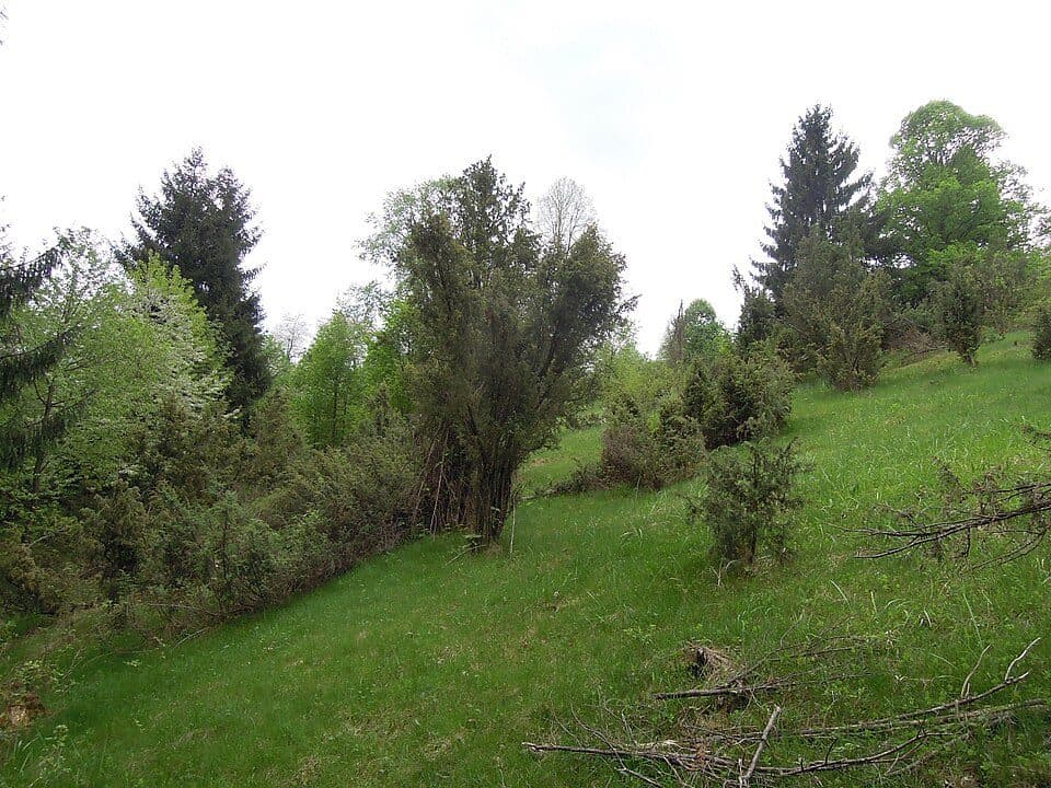 PP Uherská — zdjęcie 2