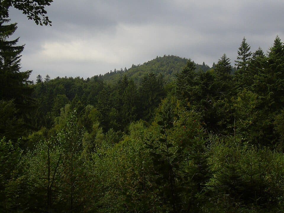 [Ž] Huslenky - Lazy pod Makytou - Vranča