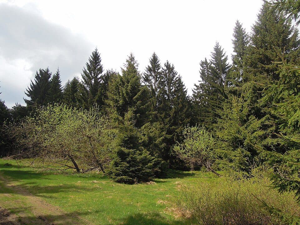 Ráztoka - Malý Javorník
