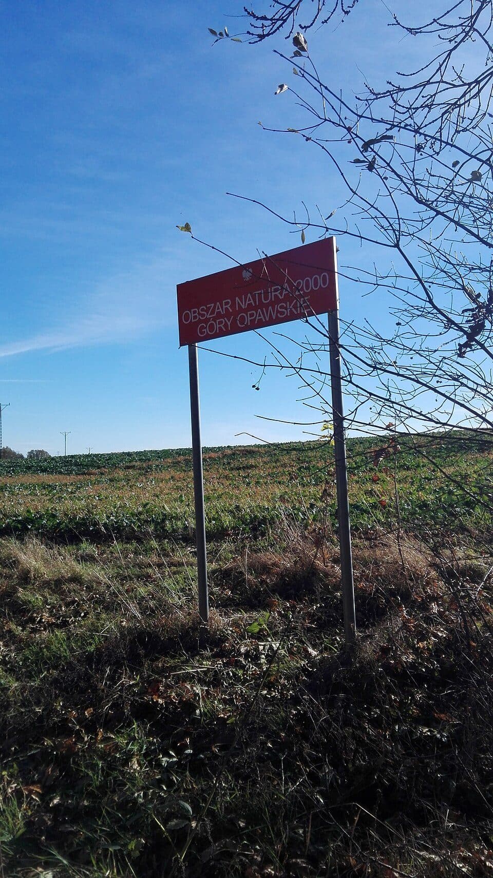 Park Krajobrazowy Góry Opawskie — zdjęcie 2