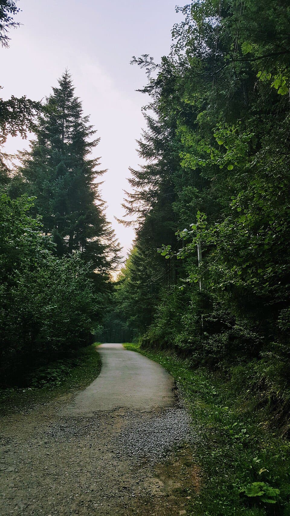 Park Narodowy 'Skoliwskie Beskidy' — zdjęcie 3
