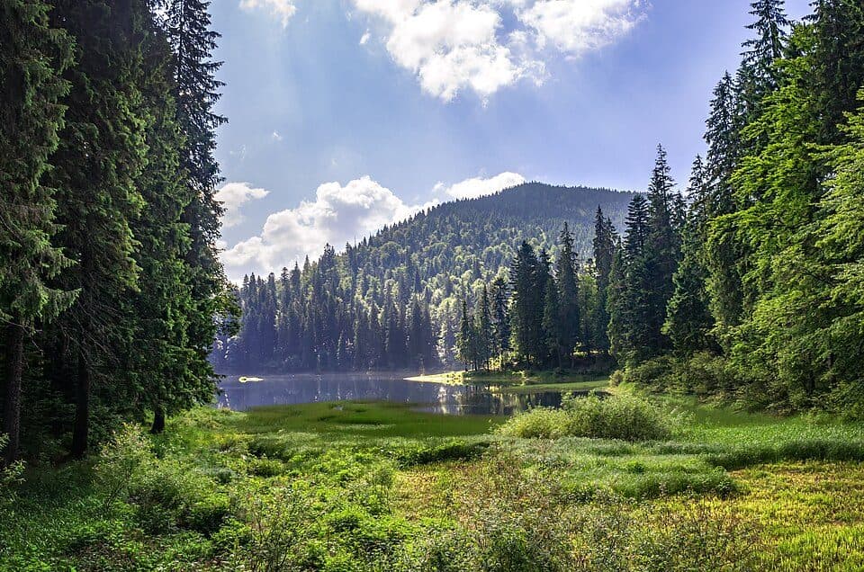 Park Narodowy Synevyr