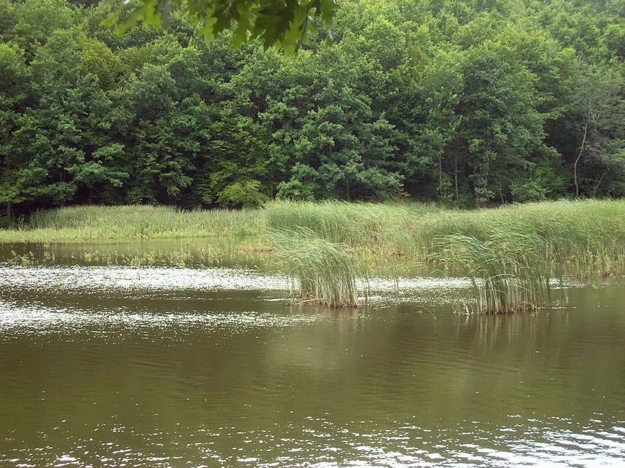 Park Narodowy 'Zaczarowany Kraj'