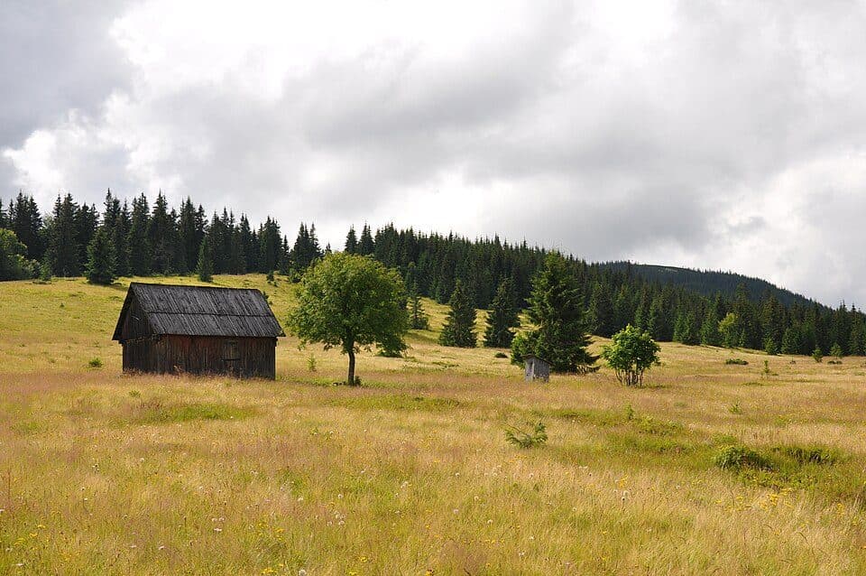 Аршична