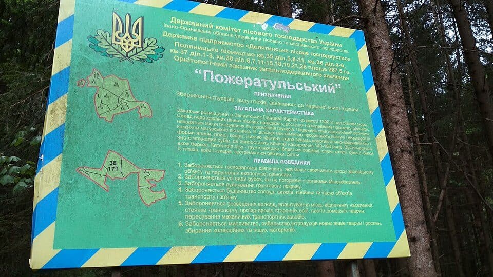 Жовтий на г. Ротило