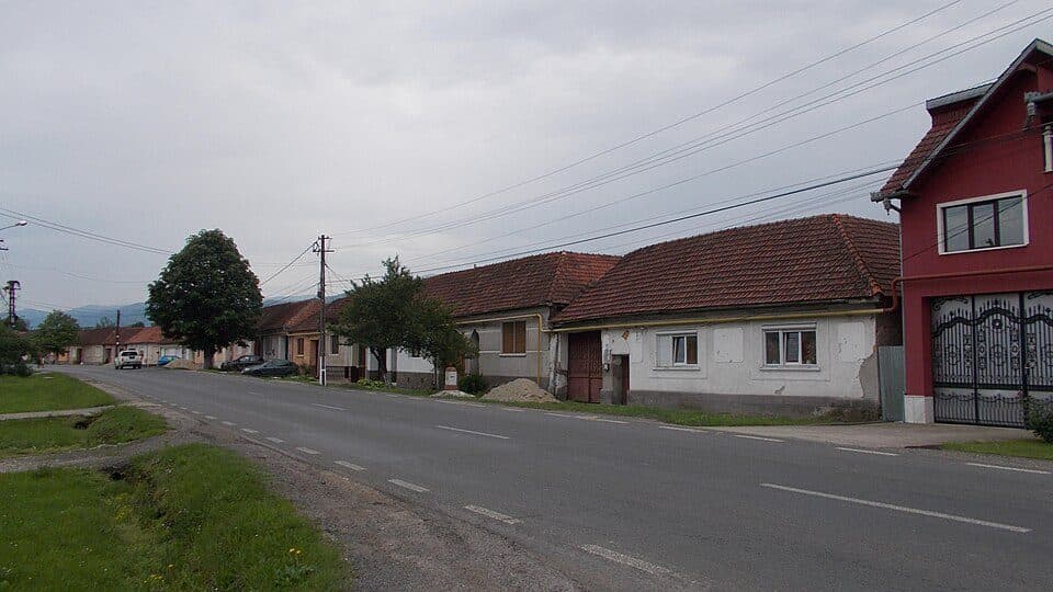 Зевой (Караш-Северін)