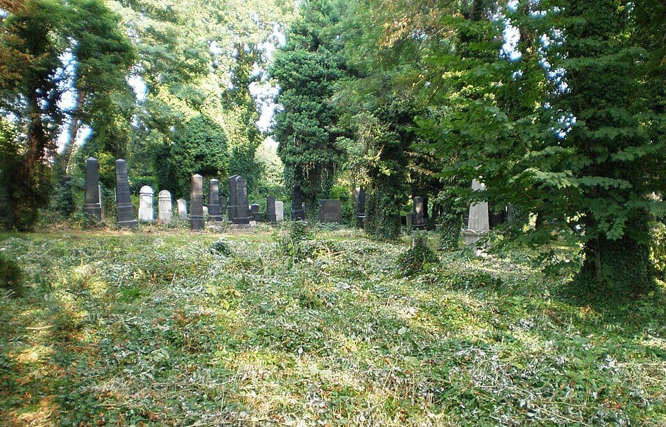 Bielsko-Biała — zdjęcie 3