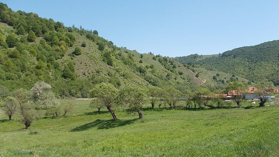 Traseul Albastru
